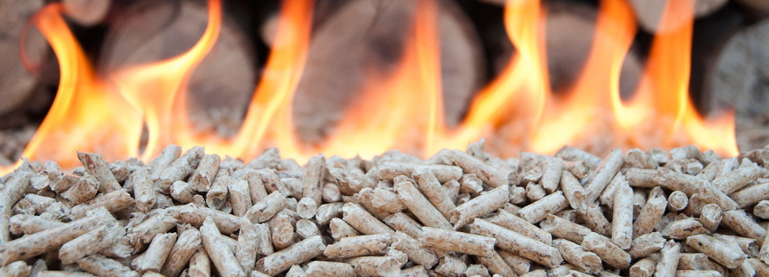 Biomass Wood Fuel